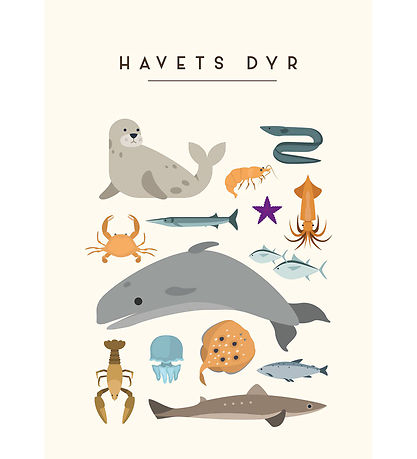 Citatplakat Plakat - Børneplakat - Havets Dyr - A3