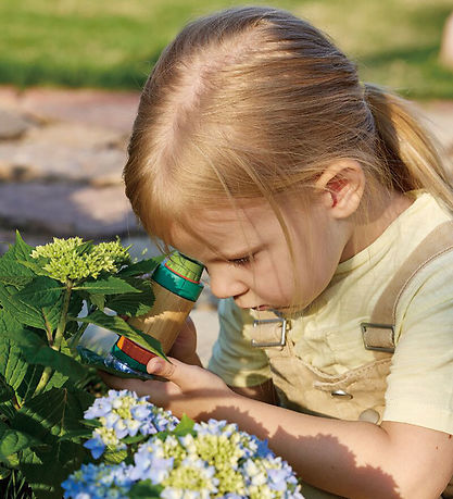 Hape Mikroskop - Nature Fun 