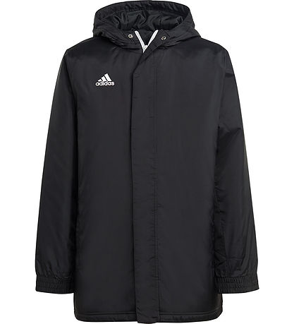adidas Performance Vadderad jacka - ENT22 STAD JKTY - Svart