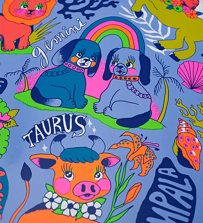Impala Skateboard - Neptune Surf Skate - 30