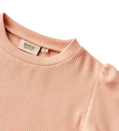 Wheat T-shirt - Rib - Iris - Soft Coral