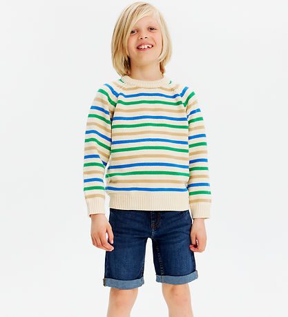 The New Denimshorts - Dark Blue