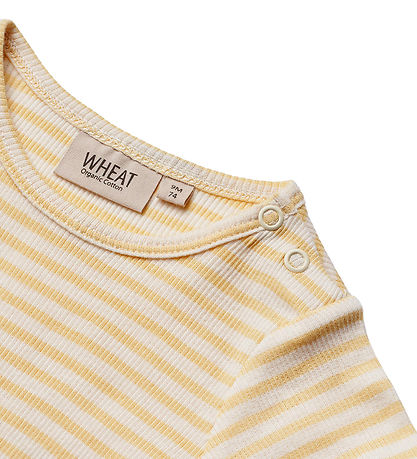 Wheat Body k/æ - Rib - Elisa - Pale Apricot Stripe