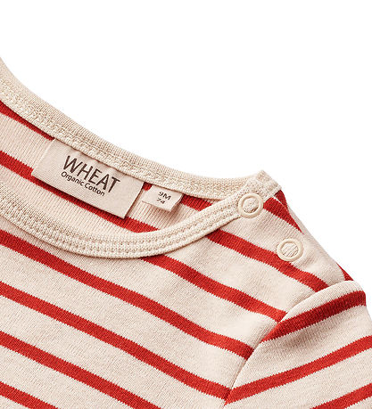 Wheat Body k/æ - Edvald - Red Stripe
