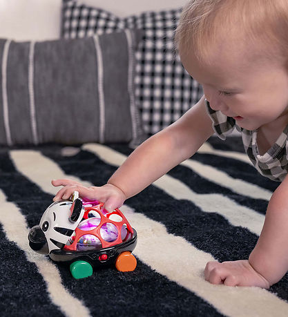 Baby Einstein Aktivitetslegetøj - Zen Oball Køretøj
