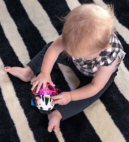Baby Einstein Aktivitetslegetøj - Zen Oball Køretøj