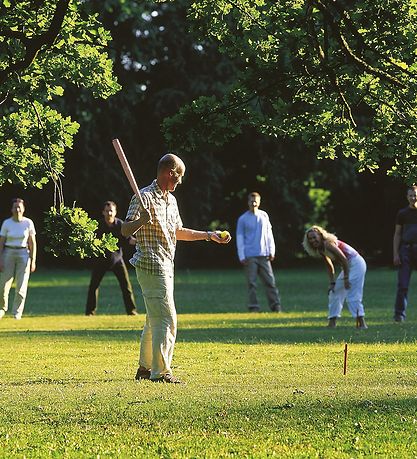 Bex Sport Rundbold-spil - Træ
