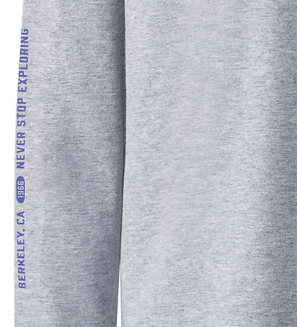 The North Face Bluse - Varsity Graphic Oversize - Grå Melange