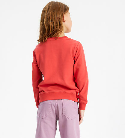 The New Sweatshirt - TnLaline - Chrysanthemum