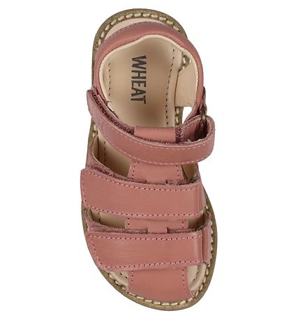 Wheat Sandaler - Addison - Cameo Blush