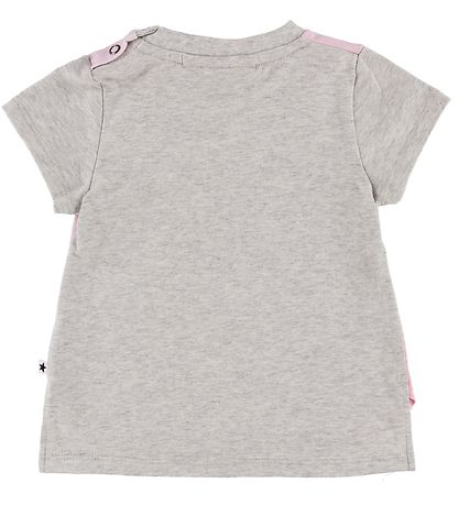 Molo T-shirt - Erin - Chihuahua