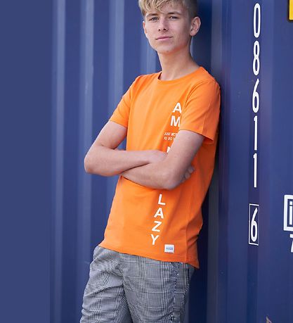 Hound Shorts - Chino - Gråternet