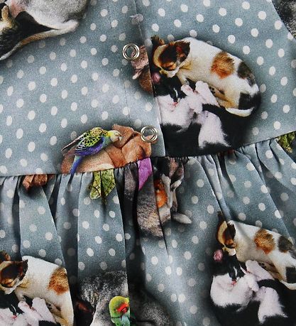 Molo Kjole - Calypso - Pets'n Dots