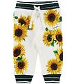 Dolce & Gabbana Sweatpants - Sunflower - Hvid/Mørkegrøn
