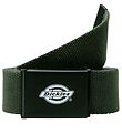 Dickies Bälte - Orcutt - Olive Green