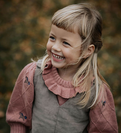 Fliink Bluse - Bomuld/Uld - Strik - Lucie Unircorn - Ash Rose