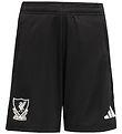adidas Performance Shorts - LFC EU - Black