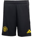 adidas Performance Shorts - Mufc EU - BLACK/HIRBLU/TRIYEL