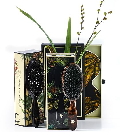 Fan Palm Hårbørste - Medium - Turtle