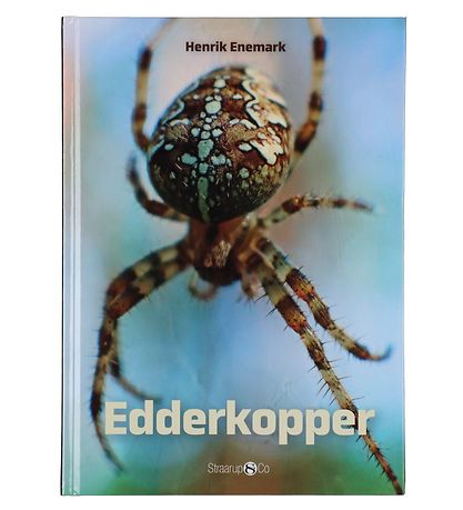 Straarup & Co Sampak - Spil & Læs - Edderkopper