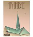 Vissevasse Plakat - 30x40 - Ribe - Storkene