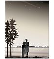 Vissevasse Plakat - 30x40 - Friends