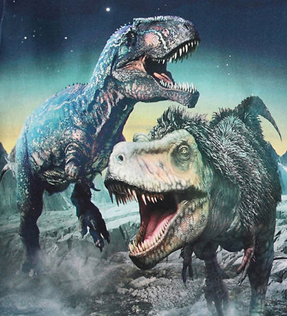 Molo Bluse - Rube -  Playing Dinos