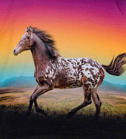 Molo Bluse - Reniza - Magic Sunset