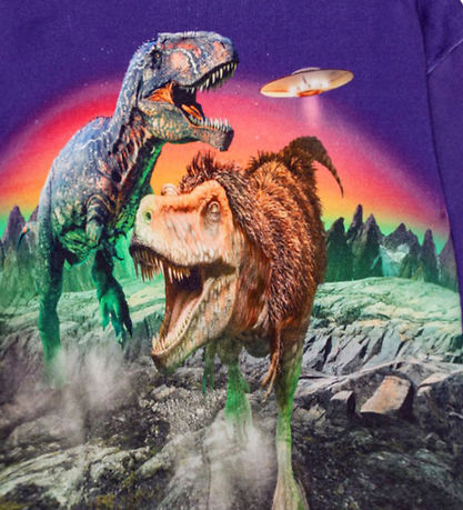Molo Sweatshirt - Mattis - Dino Play Molo Sweatshirt - Mattis - Dino Play
