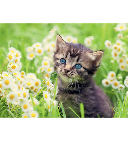 Ravensburger Puslespil - 500 Brikker - Kitten In The Meadow