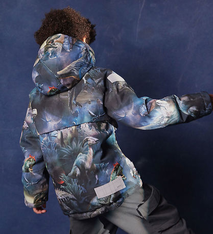 Molo Winter Coat - Castor - Dino in Space