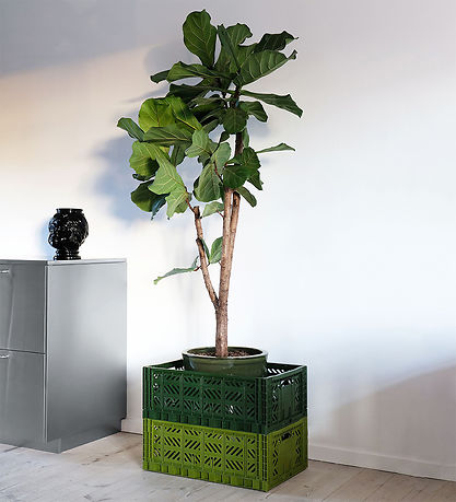 Aykasa Foldekasse - 60x40x22 cm - Maxi - Almond Green Aykasa Foldekasse - 60x40x22 cm - Maxi - Almond Green