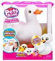 Pets Alive Bamse - 30 cm - Mama Duck m. Musik Pets Alive Bamse - 30 cm - Mama Duck m. Musik