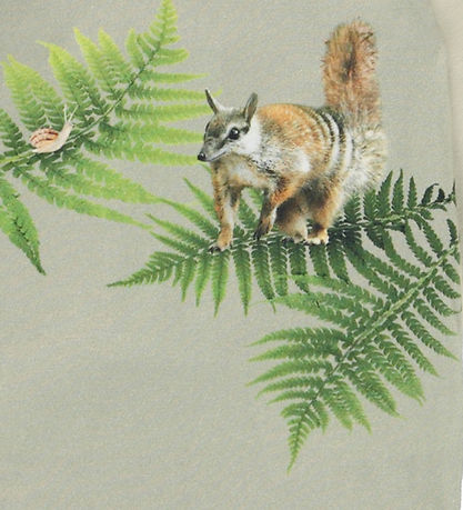 Molo Body l/æ - Foss - Fern Encounter