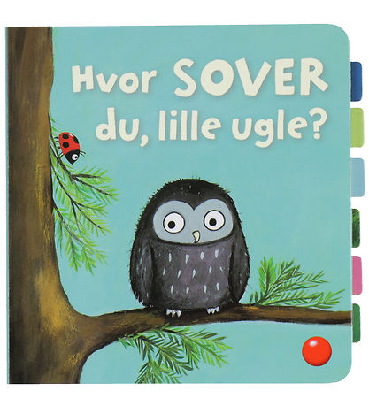 Forlaget Bolden Bog m. Klapper - Hvor Sover Du, Lille Ugle?