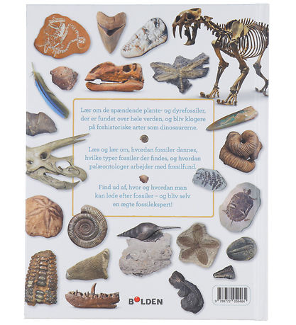 Forlaget Bolden Bog - Min Bog Om Fossiler Forlaget Bolden Bog - Min Bog Om Fossiler