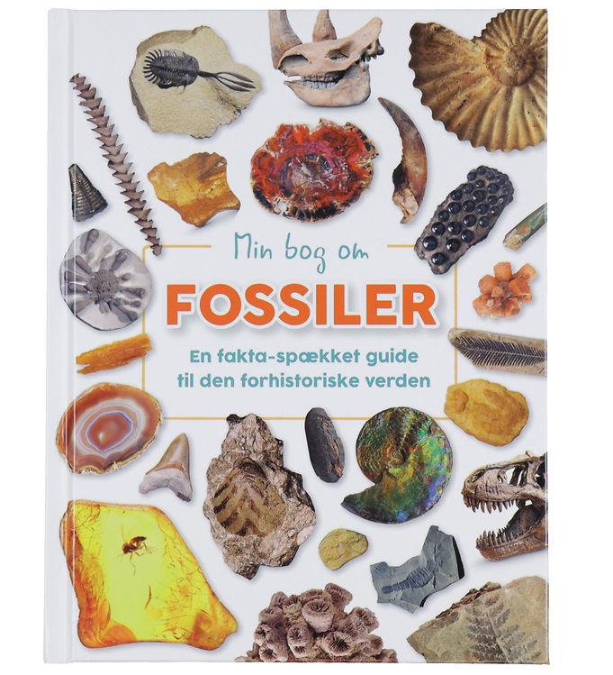 Forlaget Bolden Bog - Min Bog Om Fossiler