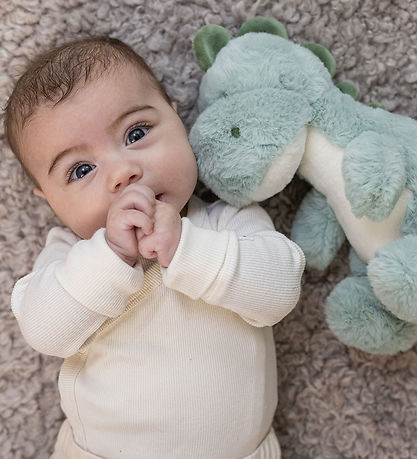 Teddykompaniet Bamse - Petri - 25 cm - Grøn