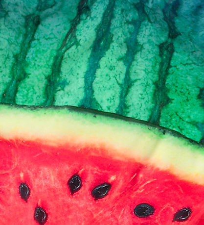 Molo Badedragt - UV50+ - Nika - Melon