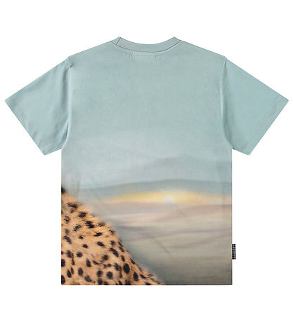 Molo T-shirt - Rubin - Big Cheetah Blue
