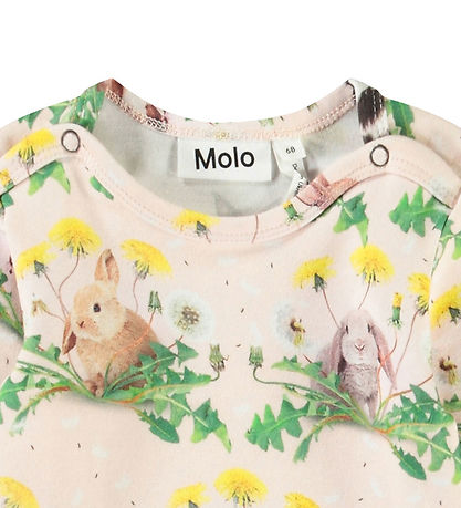 Molo Body l/æ - Foss - Bunnies United Molo Body l/æ - Foss - Bunnies United