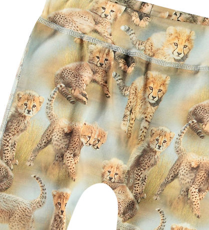 Molo Bukser - Sammy - Cheetah Cubs Molo Bukser - Sammy - Cheetah Cubs