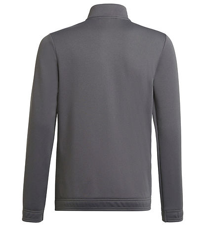 adidas Performance Cardigan - ENT22 TK JKTY - TEGRFO