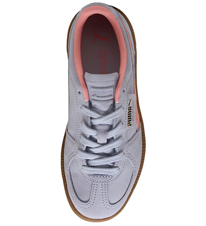 Puma Sko - Palermo Jr - Cool Weather/Pink Fruit