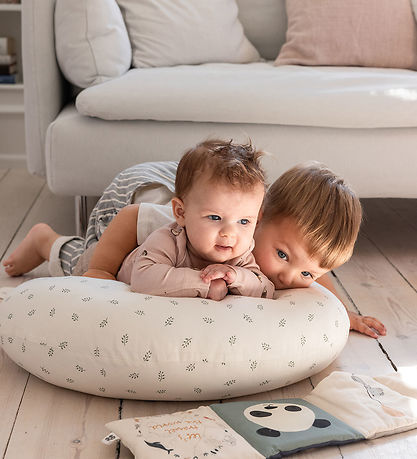 Sebra Ammepude - Sophora Leaves