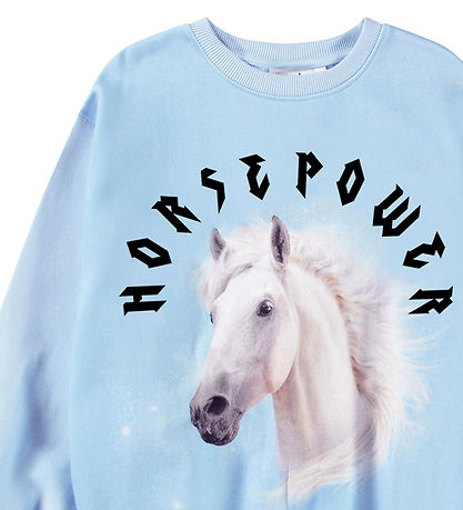 Molo Sweatshirt - Monti - HorsePower