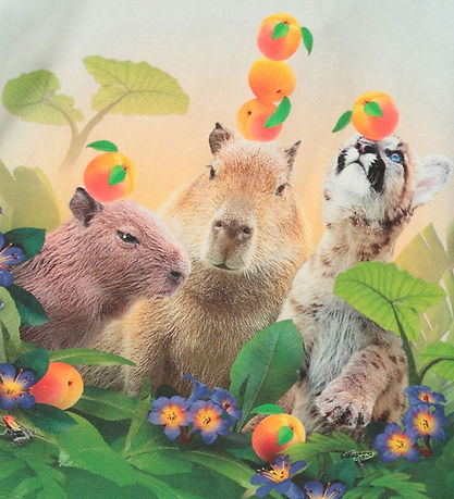 Molo T-shirt - Raeesa - Jungle Games Molo T-shirt - Raeesa - Jungle Games