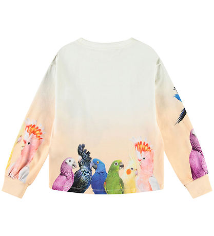 Molo Bluse - Reniza - Group Of Parrots Molo Bluse - Reniza - Group Of Parrots