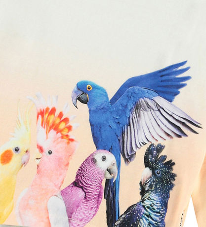 Molo Bluse - Reniza - Group Of Parrots Molo Bluse - Reniza - Group Of Parrots