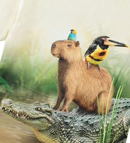 Molo T-shirt - Ruby - Capybara Hill